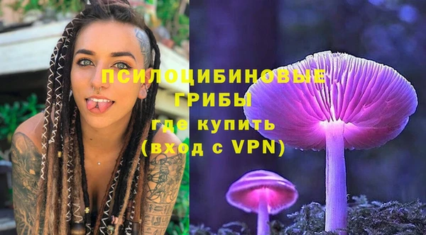 PSILOCYBIN Нефтегорск