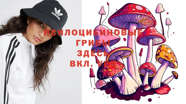 PSILOCYBIN Нефтегорск