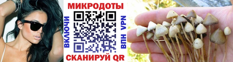 Галлюциногенные грибы Magic Shrooms  Шали 