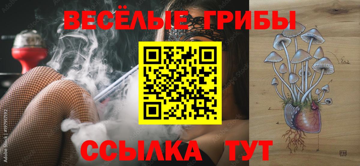 Шали  купить наркотик  Вход с VPN  Галлюциногенные грибы Psilocybe 